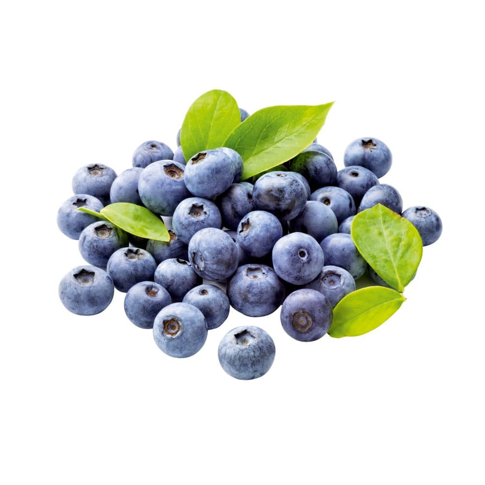 borovnice, pakirano, 500g