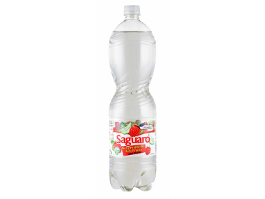 voda z okusom gozdne jagode in aloe vere
